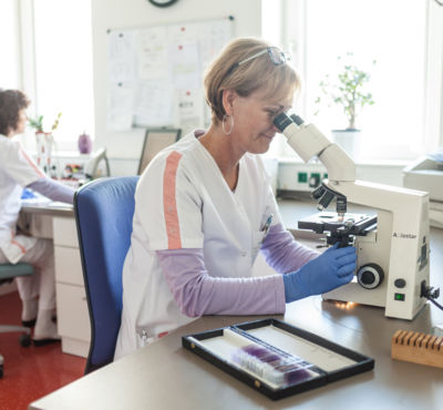 Einblicke in das Labor des Klinikum Einblicke in das Labor des Klinikum DöbelnDöbeln