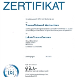 TraumaNetzwerk_Westsachsen